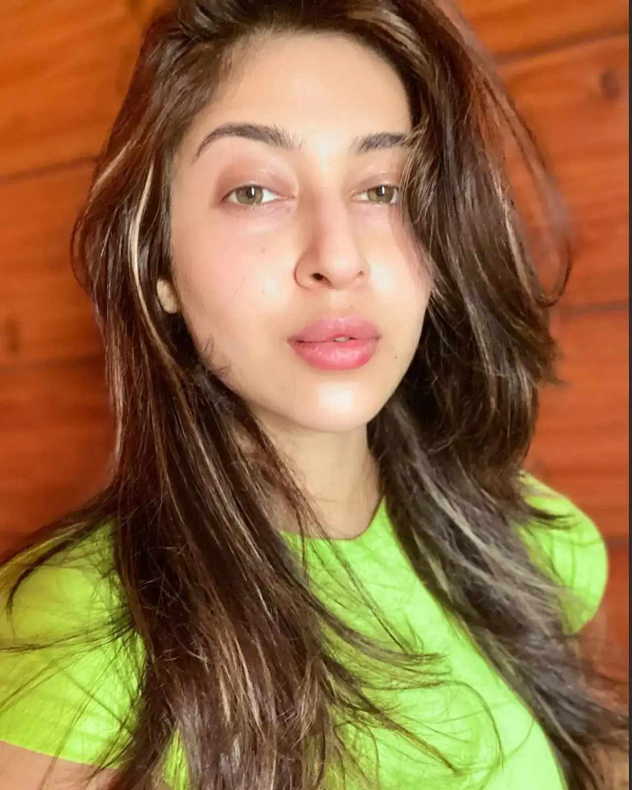 NORTH INDIAN TV ACTRESS SONARIKA BHADORIA STILLS IN GREEN TOP